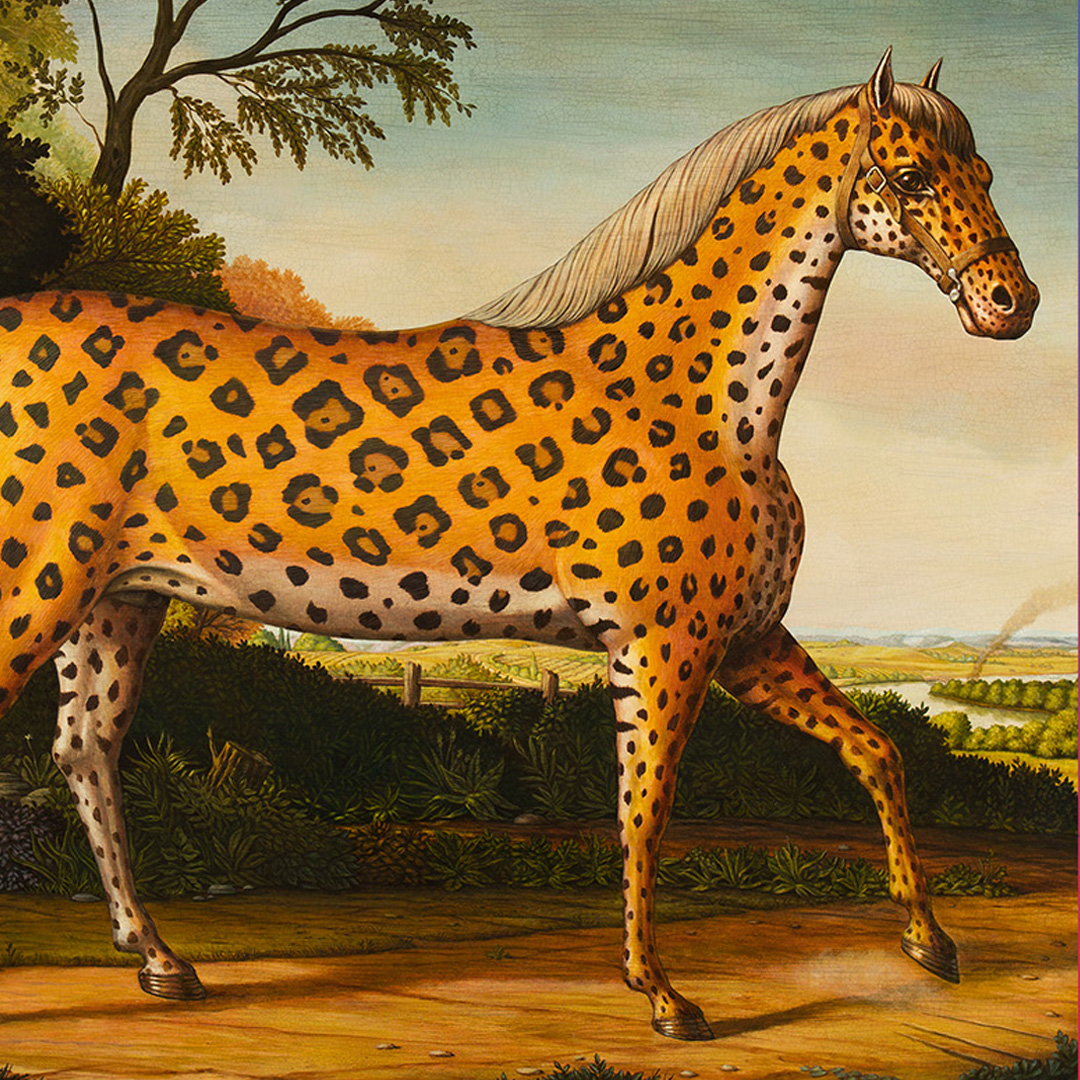 Work by Marc Burckhardt