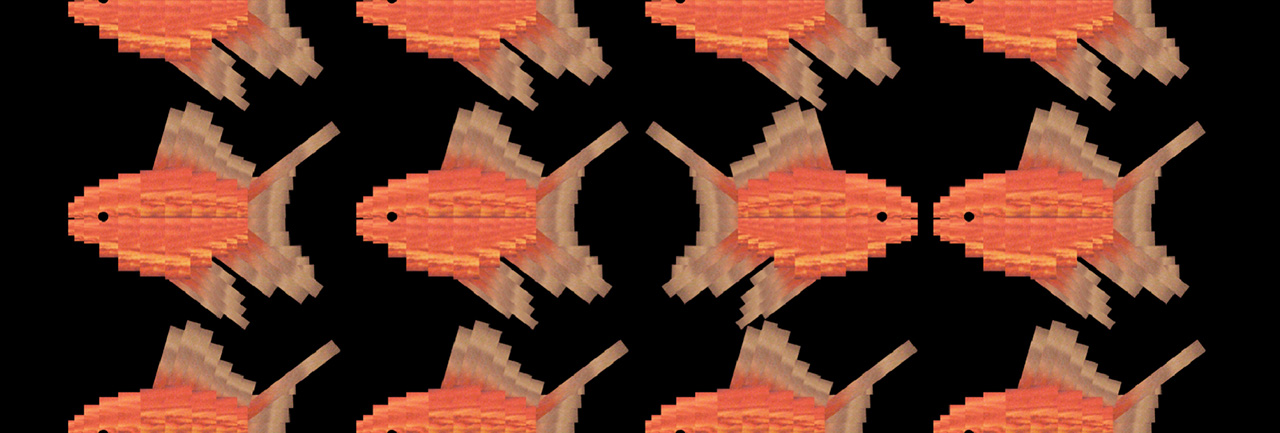 Image Credit Junhyeok Jang